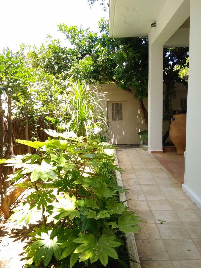 Zacharoula'S Home خانيا المظهر الخارجي الصورة